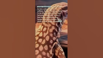 Amazing Facts of Ackie Monitor part 1  #shorts