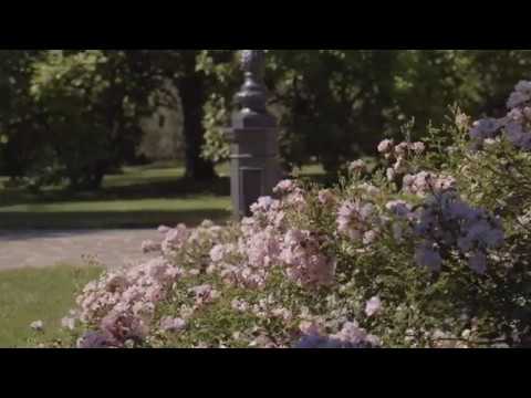 Progettazione giardini a treviso, verona e venezia youtube Progettazione giardini verona