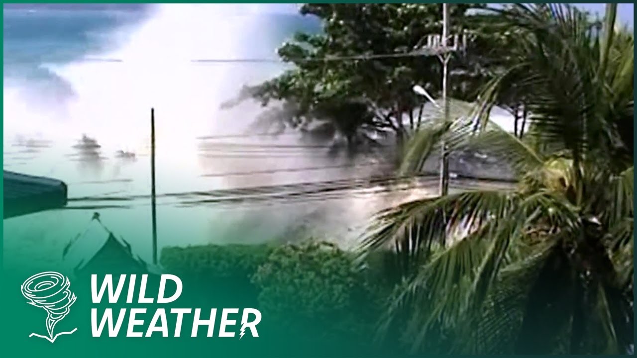 Boxing Day Tsunami: The First 90 Minutes from Sumatra to Thailand