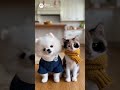 おいらは行くぜどこまでも