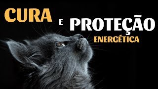 Gatos | Poder de Cura e Proteção Energética