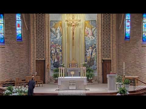 Daily Mass Wednesday - 8:15 AM - 04/17/2024