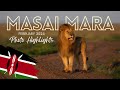 Masai Mara SAFARI - February 2024 Trip Report