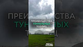 Преимущество Туннельных Теплиц