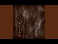 Miniature de la vidéo de la chanson Through The Veil