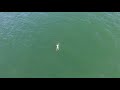 Drone released of man swimming from surf city police