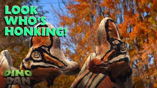 Why Did the Corythosaurus Honk? | Best of Dino Dan