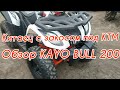 Китаец с закосом под КТМ😉 Почему квадроцикл Kayo Bull 200 дороже Bravis, Tiger, Scorpion ⁉️