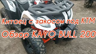 Китаец с закосом под КТМ😉 Почему квадроцикл Kayo Bull 200 дороже Bravis, Tiger, Scorpion ⁉️