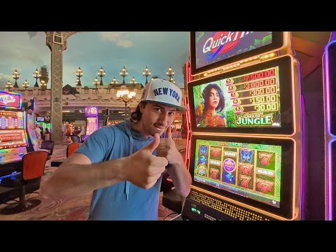 I have $500 and I’m betting every spot on the blackjack table! #casino #blackjack