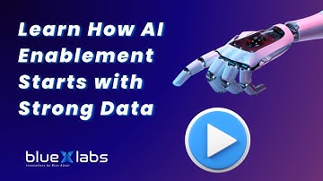 Critical Data Elements Accelerator for Data Governance by Blue Labs