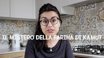 Cosa si può fare con la farina di Kamut?