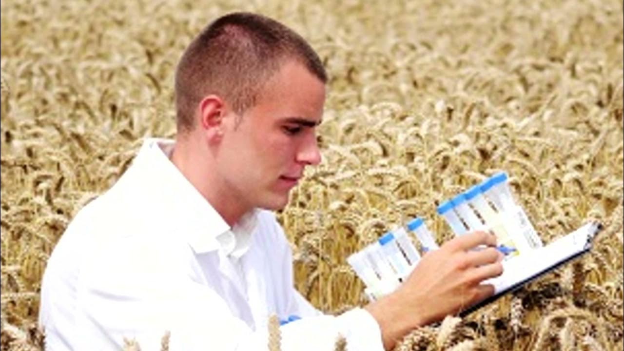 стихи про агронома для детей. на поле танки грохотали табы. пастушка ноты. выходил на поля молодой текст. пастушок ноты.