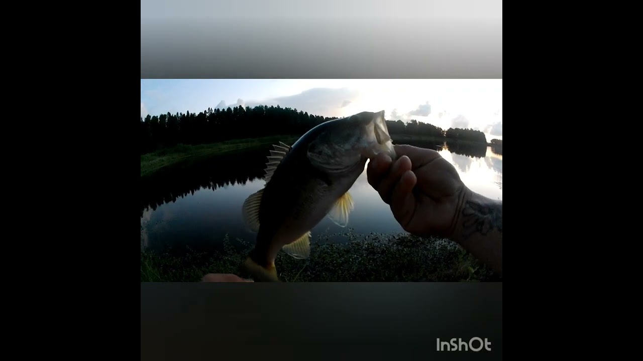 Fun morning of fishing with the wife!