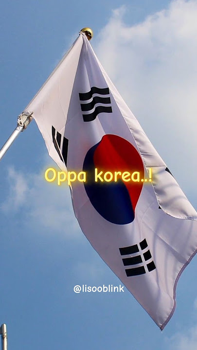 Oppa korea..🇰🇷😂💓| Kpop funny edit😂|No hate|#seventeen #exo #blackpink #bts#kpop @lisooblink_1023