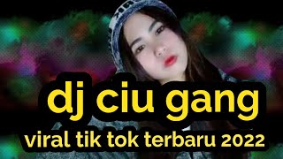 dj ciu gang viral tik tok terbaru 2022