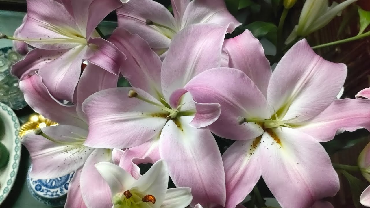 Hai kỷ niệm một chuyến đi- ST.Tuấn Khanh & hoài linh. Huỳnh liên.