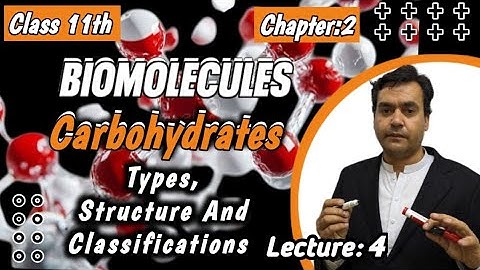 Carbohydrates || Classification || Biology || Class 11 || Dr Mushtaq Pashto Lectures