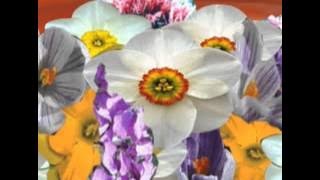 'Angela Anaconda 105 -The Substitute'