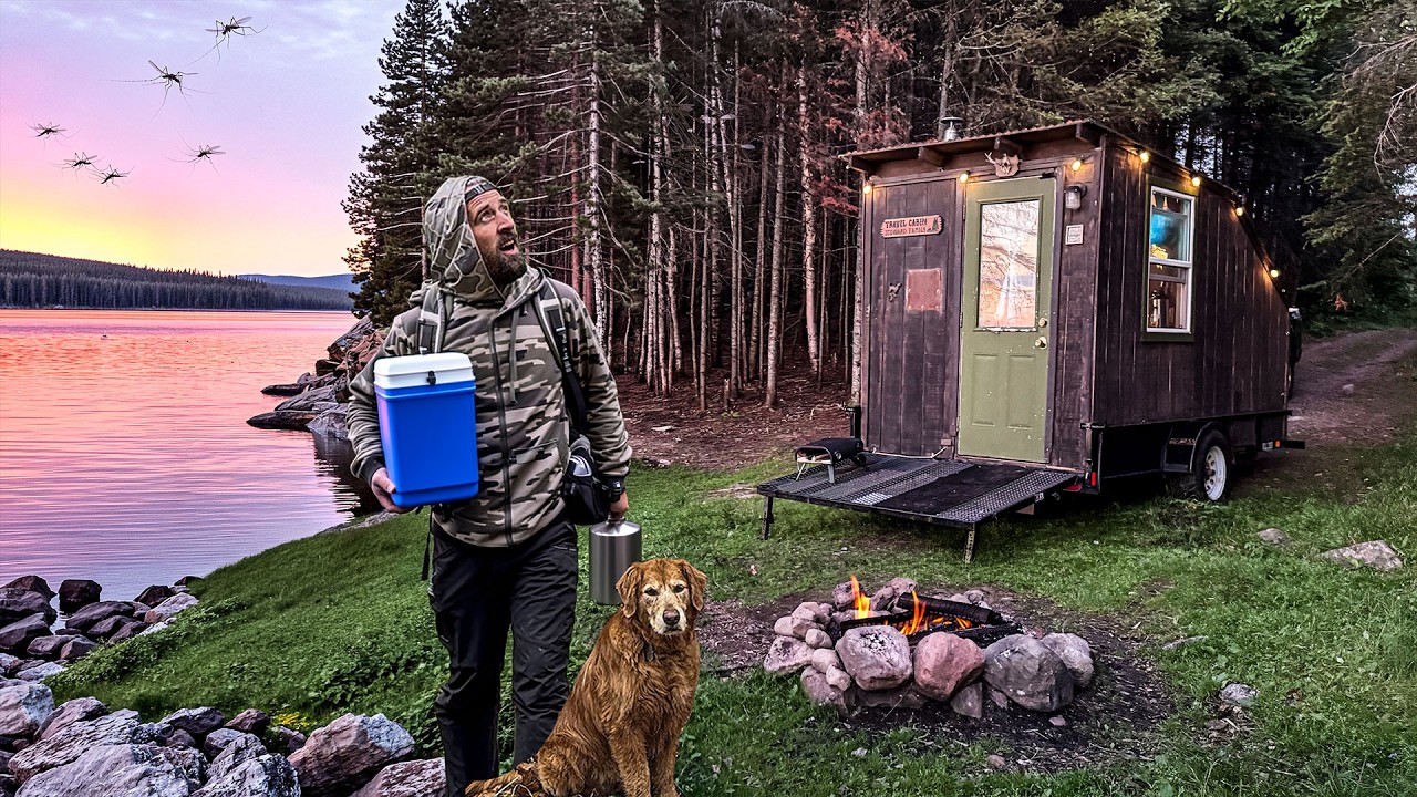 FORCED TO FLEE my Tiny Cabin in the Wilderness! The Brutal Return