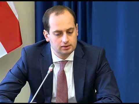 საქართველოსა და ლიტვის საგარეო საქმეთა მინისტრების ერთობლივი პრეს-კონფერენცია