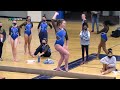 High School Gymnastics Rogers vs. Champlin Park