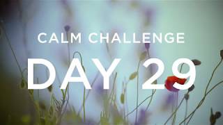 Calm Challenge | Day 29 screenshot 4