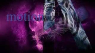 tiru motion graphics.avi
