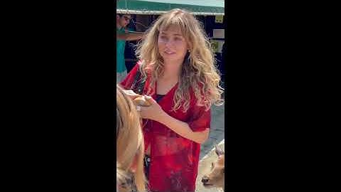 Malhotra Final Project - UF in Japan 2023