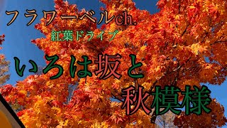 【FIAT500c】いろは坂と秋模様