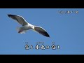 空よ/トワ・エ・モア 舞子・歌