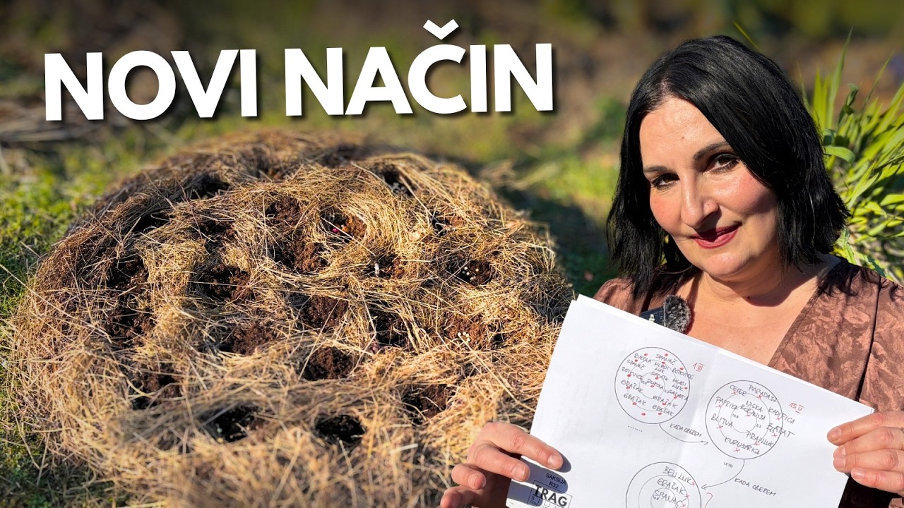 Посевные Кустарники для Малых Садов и Больших Урожаев