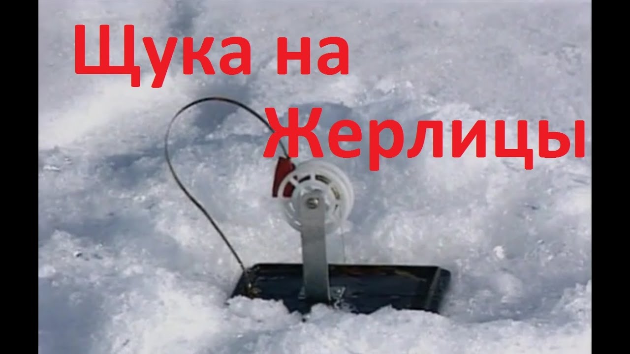 Диалоги о рыбалке -126 -Щука на жерлицы по последнему льду.