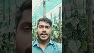 90s Old Hindi  90s Love Song Udit Narayan Alka Yagnik Kumar Sanu  Hindi  