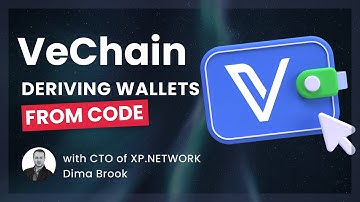 XP Shorts – Deriving wallets from code on VeChain – with CTO Dima Brook