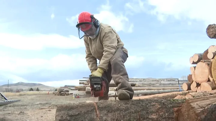 Montana volunteers split 150 cords of free firewood annually for elderly, disabled residents