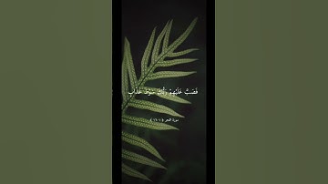 تلاوة تشرح الصدر بصوت الشيخ ياسر الدوسري ارح سمعك .#قران