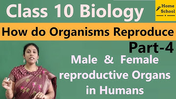 𝐇𝐨𝐰 𝐝𝐨 𝐎𝐫𝐠𝐚𝐧𝐢𝐬𝐦𝐬 𝐫𝐞𝐩𝐫𝐨𝐝𝐮𝐜𝐞 𝐂𝐥𝐚𝐬𝐬 𝟏𝟎 𝐁𝐢𝐨𝐥𝐨𝐠𝐲 Part-4