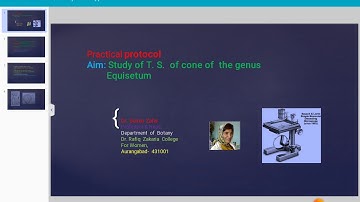 Practical Protocol, Aim: Study of T. S. of cone of the genus Equisetum