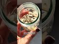 Gardening Doesn’t Have to Be Expensive Simple Ways I Reuse Glass Yoghurt Jars from Aldi