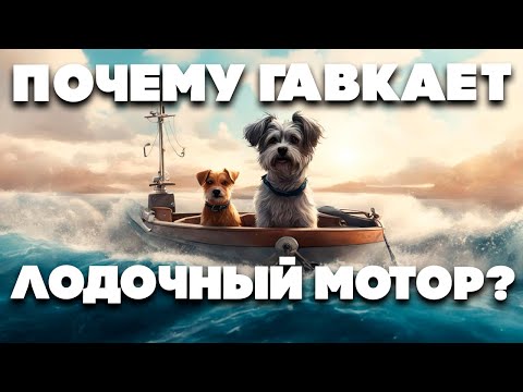 Почему гавкает лодочный мотор?