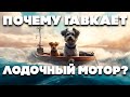 Почему гавкает лодочный мотор?