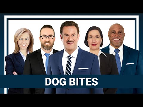 Michigan Dog Bite Injury Lawyer - Personal Injury Lawyers