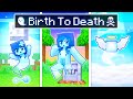 Birth to death of a ghost in minecraft