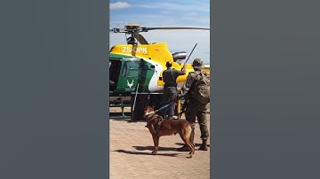 #sanparks Air Wing at work in #KrugerNationalPark using their #Airbus Helicopters AS350B3 and #H125