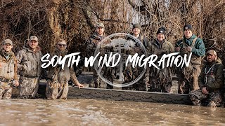 Duck Hunting- Sunshine and South Winds (BIG MIGRATION)