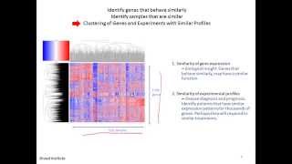 L22v03 analysis