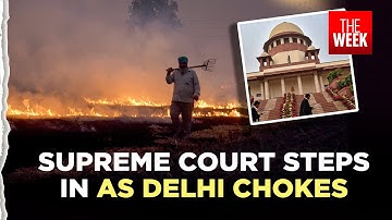 Supreme Court pulls up Punjab, Haryana over stubble burning as Delhi chokes under toxic air