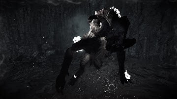 [W3EE Redux Next Gen v1.38] The Chort Syndrome