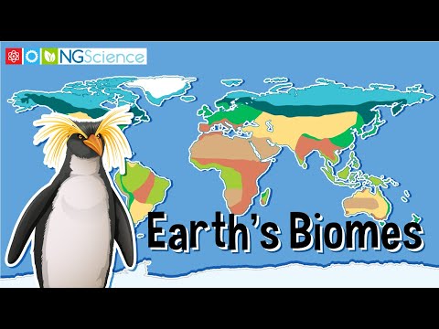 Видео: Хойд Америкийн биомууд хаана байдаг вэ?